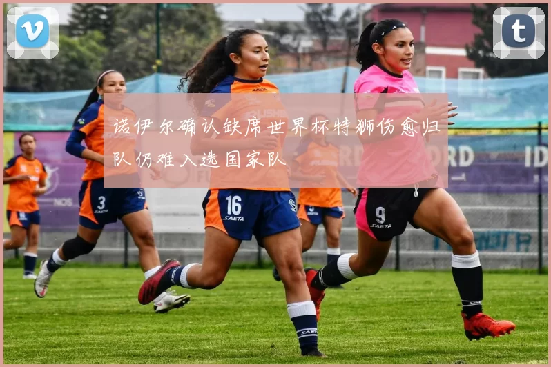 诺伊尔确认缺席世界杯特狮伤愈归队仍难入选国家队