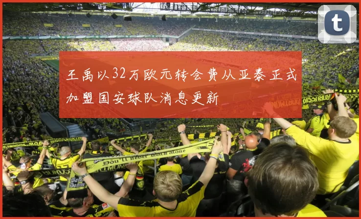 王禹以32万欧元转会费从亚泰正式加盟国安球队消息更新
