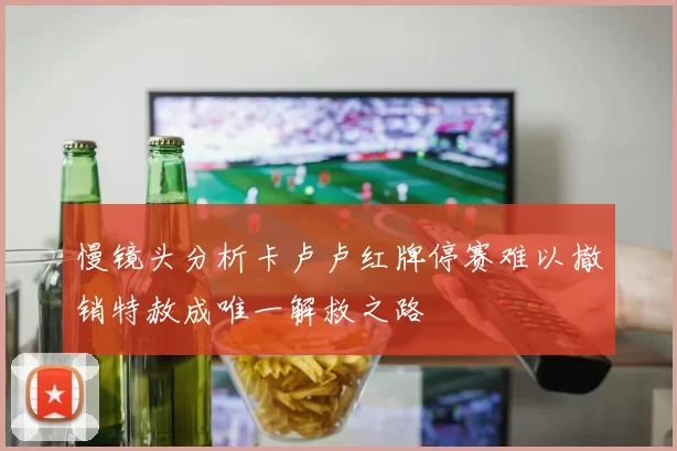 慢镜头分析卡卢卢红牌停赛难以撤销特赦成唯一解救之路